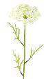 Fleur artificielle Daucus - création bouquet pour intérieur - H. 55cm blanc