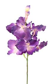 Fleur artificielle Orchidée Vanda Fresh Touch - haut de gamme - H.70cm violet