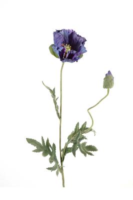 Fleur artificielle Pavot fusion 1T 1B - fleur des champs - H.69 cm bleu