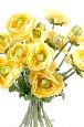 Fleurs artificielles Bouquet de Renoncules - intérieur - H.30cm jaune