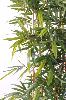 Haie artificielle Bambou New UV résistant - extérieur balcon terrasse - H. 150cm socle 95cm