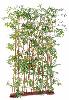 Haie artificielle bambou oriental 20 cannes - intérieur - H.185cm vert