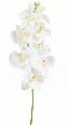 Orchidée artificielle Phalaenopsis tige large - création bouquet - H.110 cm blanc