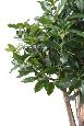 Plante artificielle Laurier Lusitanica - plante d'intérieur - H.150cm vert