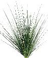 Plante artificielle Onion Grass en piquet large - plante pour intérieur - H.60cm vert