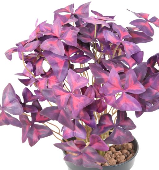 Plante artificielle Trèfle Oxalis en piquet - décoration d'intérieur - H.30cm pourpre