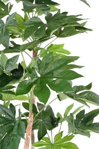 Plante artificielle tropicale Fatsia Japonica - décoration d'intérieur - H.180cm