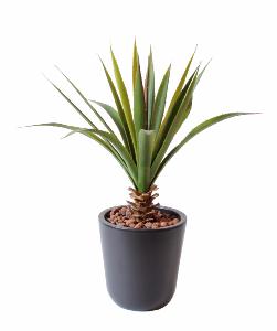 Plante artificielle Aloe en piquet - cactus artificiel extérieur - H.45cm vert
