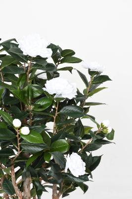 Arbre artificiel Camélia du japon 8 fleurs - intérieur - H.130 cm blanc