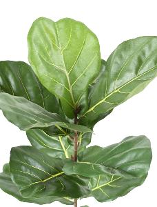 Arbre artificiel Ficus Lyrata - plante semi-naturelle d'intérieur - H.100cm vert