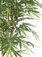 Bambou artificiel Luxe 7 cannes naturelles - intérieur - H.160cm vert