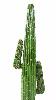 Cactus artificiel Mexico New- plante d'intérieur - H.145cm vert