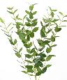Feuillage artificiel Branche Eucalyptus - composition florale - H.60cm vert
