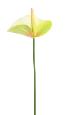 Fleur artificielle Anthurium - décoration florale - H.60cm vert