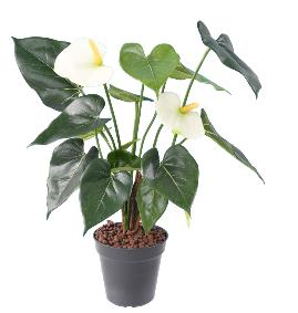 Fleur artificielle Anthurium en piquet - plante d'intérieur - H.45cm blanc