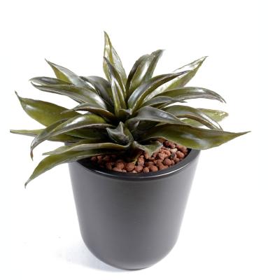 Plante artificielle Agave mini - cactus artificiel intérieur - H.24cm vert