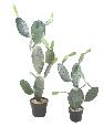 Plante artificielle Cactus Opuntia - Plante pour intérieur - H. 120cm vert