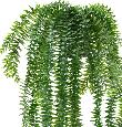 Plante artificielle Lycopodium en pot - intérieur extérieur - H.70cm vert