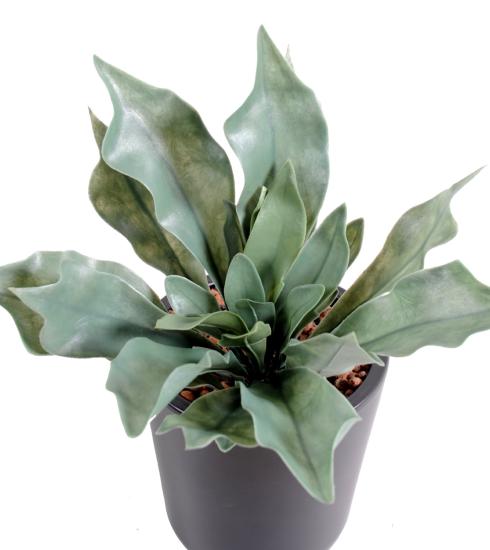 Plante artificielle Platycerium UV en piquet - fougère corne d'élan - H.25cm vert gris