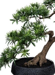 Bonsaï Podocarpus artificiel en pot - plante synthétique intérieur - H.70cm