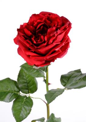 Fleur artificielle rose Anglaise Ø.14cm - haute gamme - H.85cm rouge