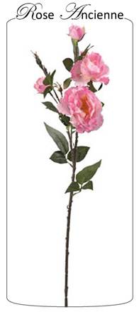 Rose ancienne rose 77cm