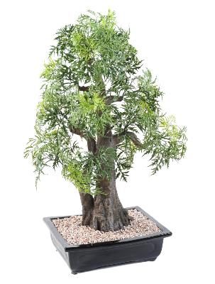 Bonsaï Aralia arbre miniature en coupe - plante synthétique intérieur - H.80cm