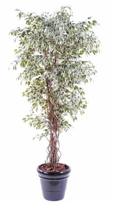 Arbre artificiel Ficus lianes petites feuilles - plante d'intérieur - H.180  cm vert crème