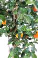 Arbre artificiel fruitier Oranger new - intérieur - H.150cm vert orange