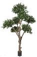 Arbre fruitier artificiel Olivier bonsaï nuage - plante pour intérieur - H.270cm