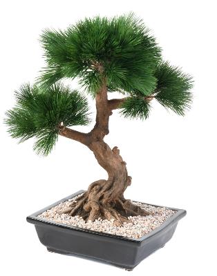 Bonsaï artificiel arbre miniature Pin en coupe - plante d'intérieur - H.70cm