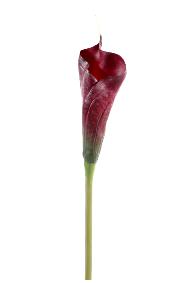 Fleur artificielle Calla Arome haute qualité - composition bouquet - H.80 cm rouge brun