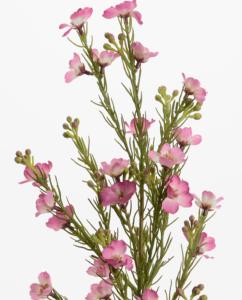 Fleur artificielle Wax - composition bouquet - H.58cm fuchsia