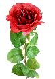 Fleur artificielle coupée rose - décoration d'intérieur - H.66 cm rouge