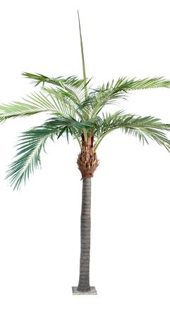 Palmier luxe fibre de coco - plante artificielle d'intérieur - H.400cm