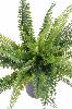 Plante artificielle Fougère plastique en piquet - intérieur extérieur - H.40cm vert