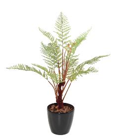 Plante artificielle Fougère Diksonia en pot 13 feuilles - intérieur - H.115cm vert