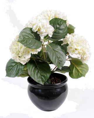 Plante artificielle Hortensia 5 têtes - plante fleurie en piquet - H.50cm crème