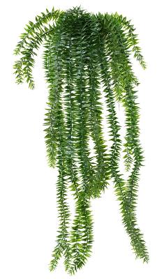 Plante artificielle Lycopodium en pot - intérieur extérieur - H.70cm vert