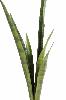 Plante artificielle Sansevieria piquet - succulente pour intérieur - H. 105cm vert