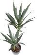 Plante artificielle Yucca Rapier 2 tiges - décoration pour intérieur - H.110cm