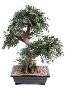 Bonsaï Black Willow arbre miniature en coupe - plante synthétique intérieur - H.70cm