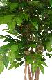 Arbre artificiel Charme 5 troncs - plante d'intérieur - H.150cm vert