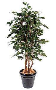 Arbre artificiel Ficus Exotica - plante d'intérieur - H.180cm vert
