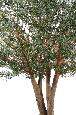 Arbre artificiel Olivier New Tree - plante pour intérieur - H.350cm