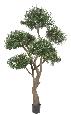 Arbre fruitier artificiel Olivier bonsaï nuage - plante pour intérieur - H.270cm