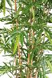 Bambou artificiel Luxe 8 cannes naturelles - intérieur - H.210cm vert