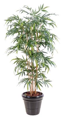 Bambou artificiel New 6 cannes naturelles - intérieur - H.210cm vert