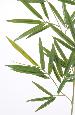 Branche artificielle Bambou Shiroshima feuillage panaché - intérieur - H. 81 cm