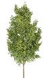Branche artificielle de Cyprès - feuillage pour extérieur - H.66cm vert